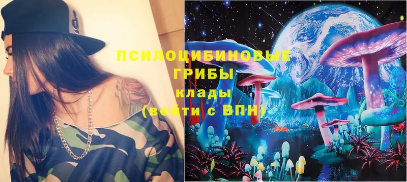 Галлюциногенные грибы Magic Shrooms  Наро-Фоминск 